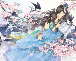 夜来香研究所网页版